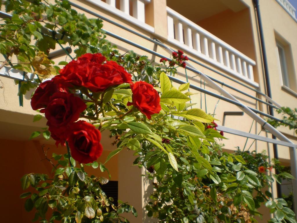 Apartments Tare, Free Parking Vodice Rum bild
